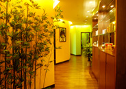 �Ż�ɽׯ��������2